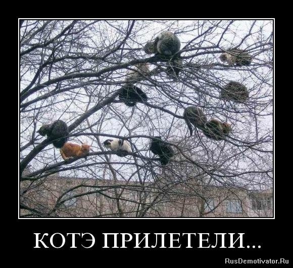   - 12  2018  16:11