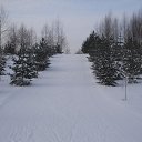 ���� ������, ������, 37 ��� - ��������� 21 ������ 2018 � ������ ������� ������ � ���� ������.�