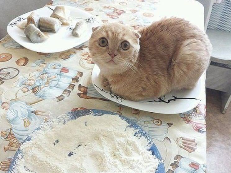   ....  ...)))