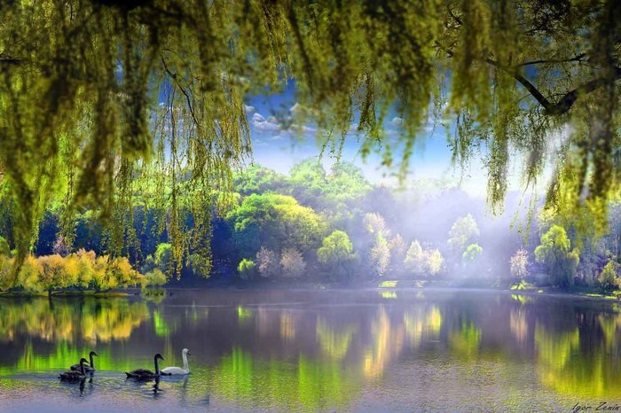 ))).Igor Zenin - 2