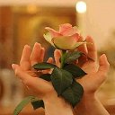 ���� �����, �����-���������, 61 ��� - ��������� 3 ���� 2018 � ������ ������ ��������