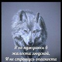 ���� Amarok, �������, 45 ��� - ��������� 21 ������ 2018 � ������ ���� ������