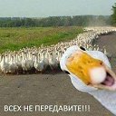 ���� �������, ������, 55 ��� - ��������� 5 ������ 2018 � ������ �21+�