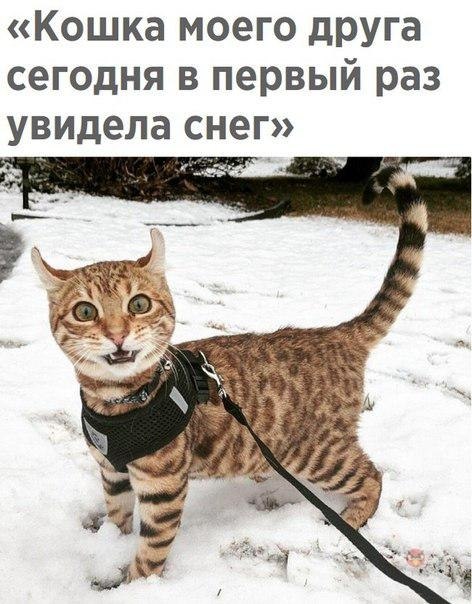   - 10  2018  03:46