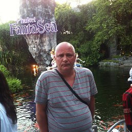 , 62, 