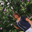 ���� �������, �����, 41 ��� - ��������� 5 ���� 2018