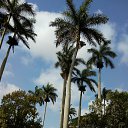 ���� Gala, ������ - ��������� 30 ����� 2018 � ������ �������� ���� 2018�