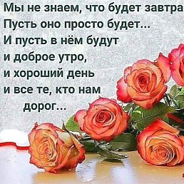 ���� ������, ��������, 48 ��� - ��������� 28 ���� 2018