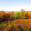 ���� �������, ��������, 47 ��� - ��������� 12 ����� 2018 � ������ �����������