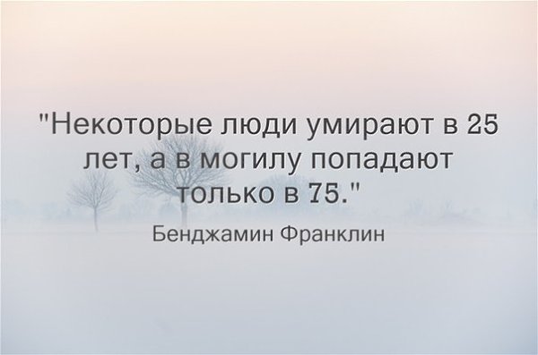  | ,  - 29  2017  03:49