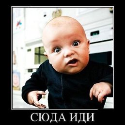 37 ������, �������, 38 ���