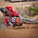 ���� ��������� �������, �����������, 85 ��� - ��������� 9 ������� 2018 � ������ ���� ����������