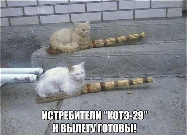 �������� �������� - 20 ������� 2018 � 18:45