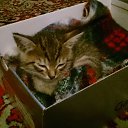 ���� ������, �����, 65 ��� - ��������� 28 ������ 2017 � ������ ���� ����������