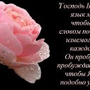  ,  -  7  2018    