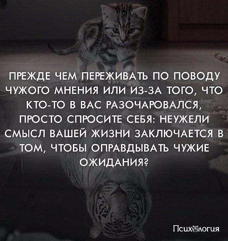 Maryashka - 14  2018  18:55