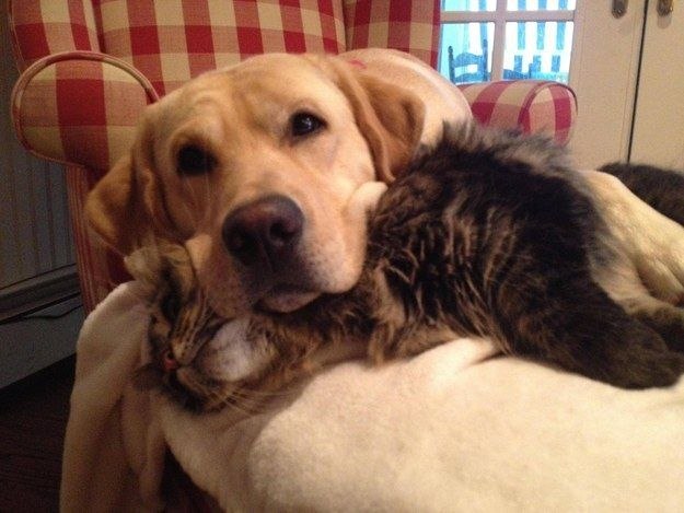 ����� � ������, ����������, ��� ��� ����� ���� ������� �������� - 11