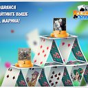     , , 85  -  22  2018    -
