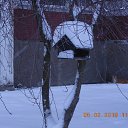 ���� ����, �����-��������� - ��������� 7 ������� 2018 � ������ ���������.�