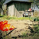 ���� �����, �������, 47 ��� - ��������� 9 ���� 2018 � ������ ��� ����� �� �������