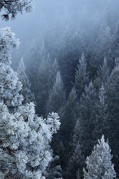   - 4
