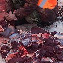 ���� �������, ������, 64 ���� - ��������� 7 ������ 2018 � ������ ���� ����������