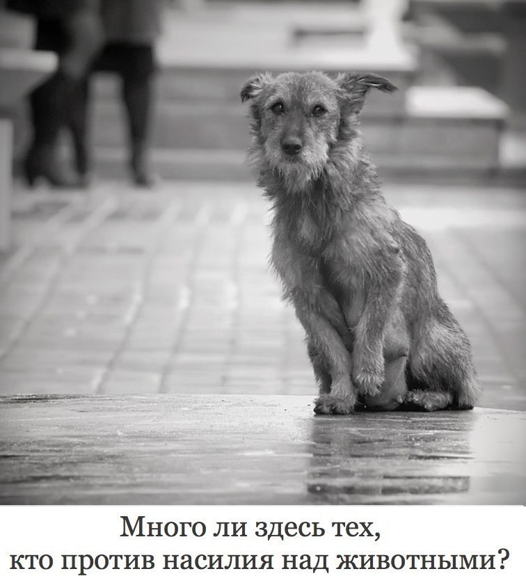  - 2  2018  02:39