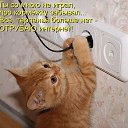 ���� ���, �����-���������, 46 ��� - ��������� 28 ������ 2018 � ������ ���� ����������