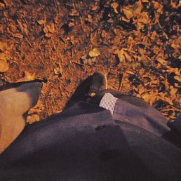 ������, ������������, 22 ����