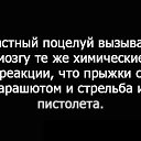 ���� ���, ����, 54 ���� - ��������� 23 ������� 2017 � ������ ���� ����������