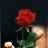 ���� Anatolie, ������������, 43 ���� - ��������� 25 ������ 2018