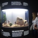  ,  -  17  2018          ˻