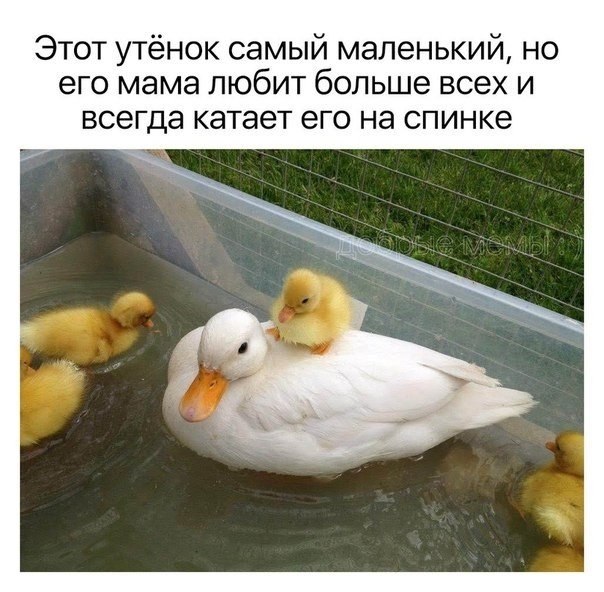   - 5  2018  02:39