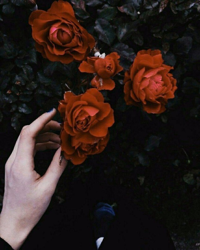   ,     ,   .  