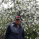 ���� ������, �����-���������, 53 ���� - ��������� 9 ����� 2018 � ������ ���� ����������