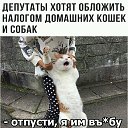  ,  -  6  2017    