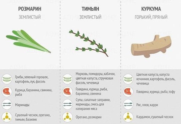 Чтобы ваши блюда были еще вкуснее используйте специи правильно