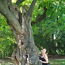 ���� ����, ��������, 67 ��� - ��������� 20 ������ 2017 � ������ ����� � ���� 2017 ����