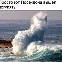  ,  , 53  -  13  2018    
