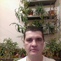 ���� Serega3337, ��������, 48 ��� - ��������� 19 ������� 2017