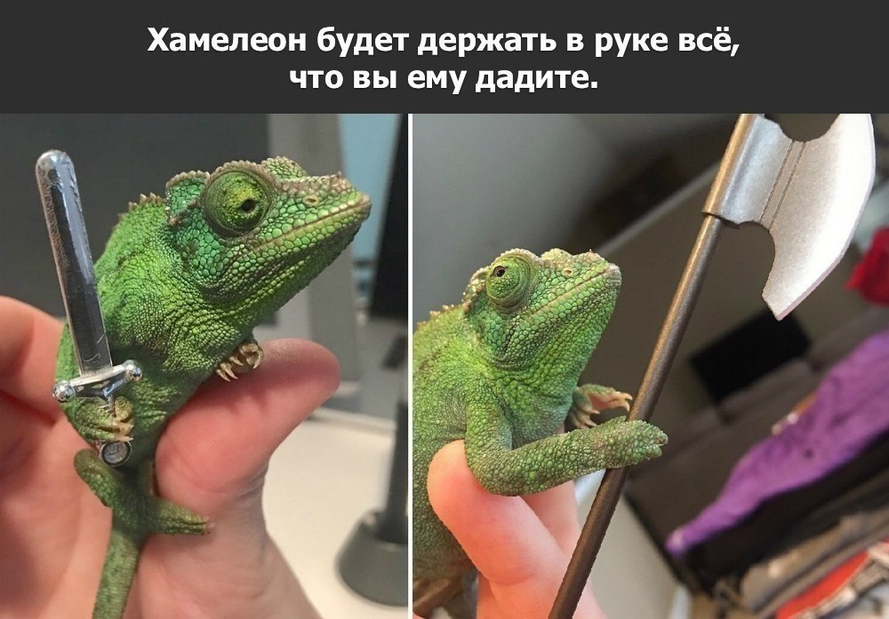   :    - 8  2018  03:30