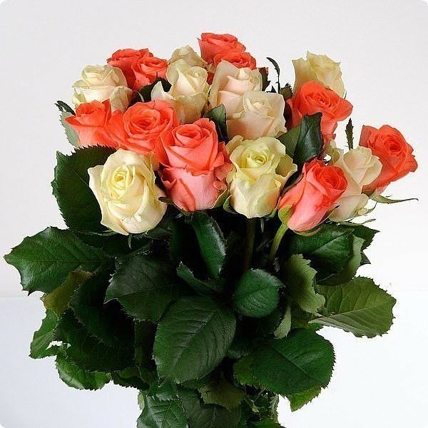  ,  , !  !     .    ...