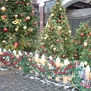  -   !,  -  23  2017      23.12.2017