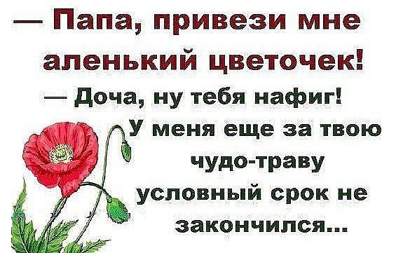 Как говорил Серый Волк, лёжа в бабушкиной постели: