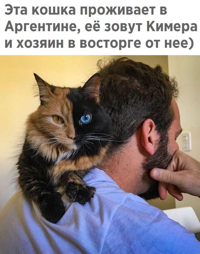   - 25  2017  13:45