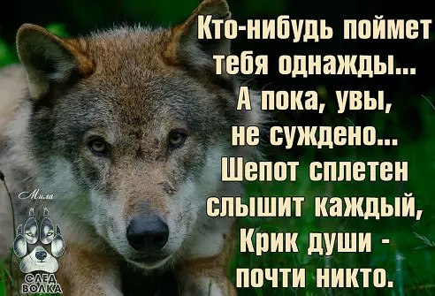 Всего 5 букв, но в них такая нежность, Тепло души, и искренность, и страсть. В них реки горьких слёз ...