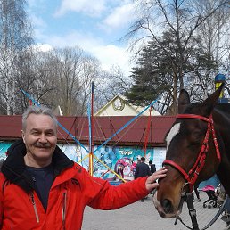 ���� ������, ������������ - ��������� 8 ��� 2018