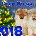 ���� ������, ������������, 71 ��� - ��������� 30 ������� 2017 � ������ ���� ����������