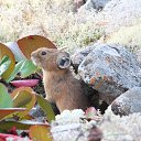 ���� �����, �������, 62 ���� - ��������� 23 ������� 2018 � ������ ����� 2017�