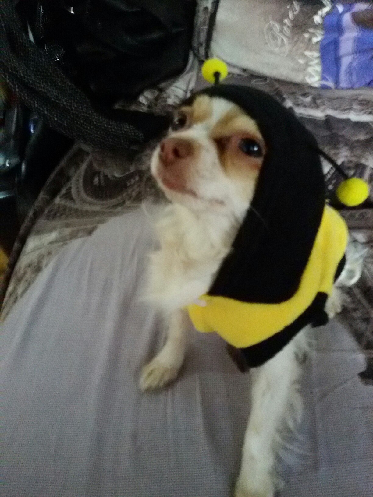     !          ... - 2